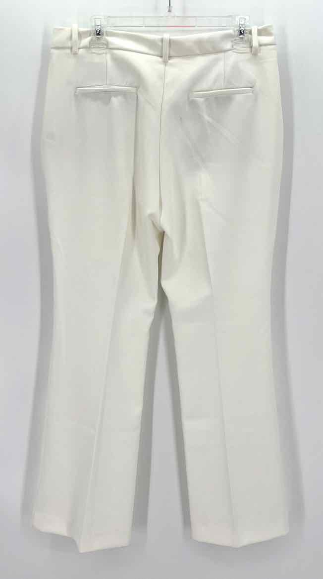 Size L ZARA Ivory Pants