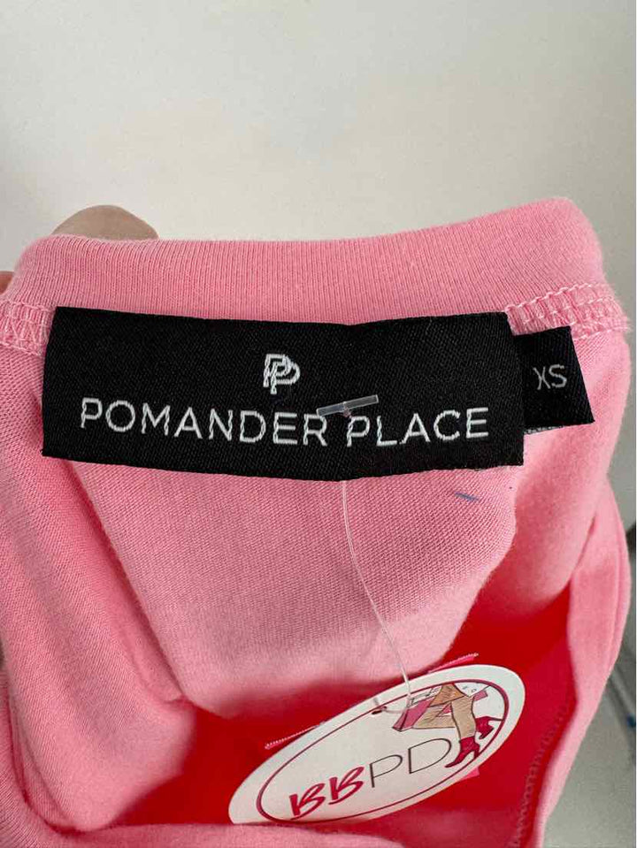 Size XS POMANDER PLACE Pink Dress