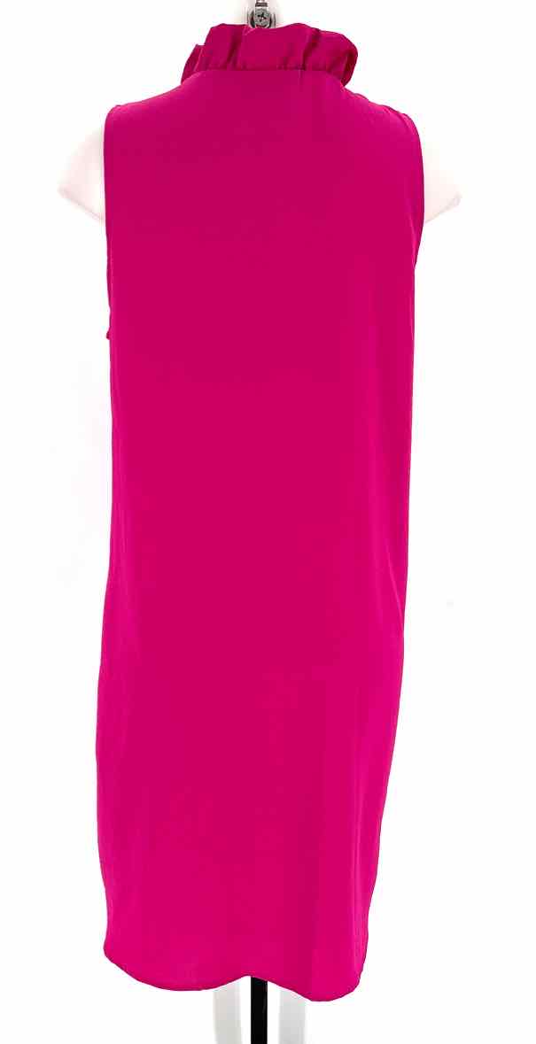 Size L Fuschia Dress