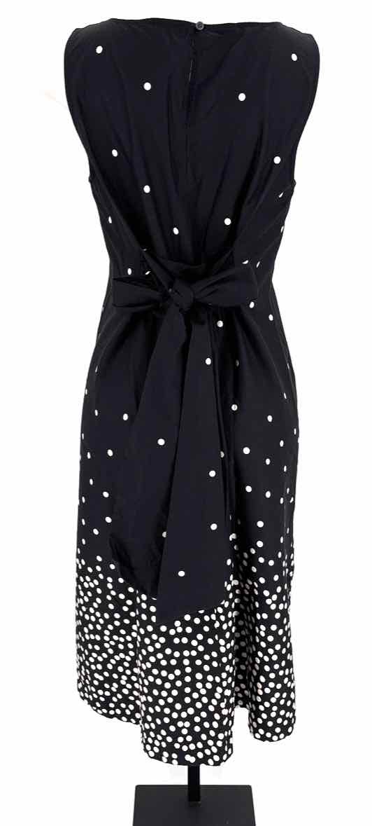 Size M Ann Taylor Black/White Dress