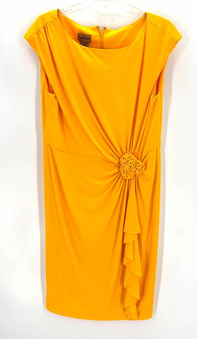 Size 16 Mustard Dress