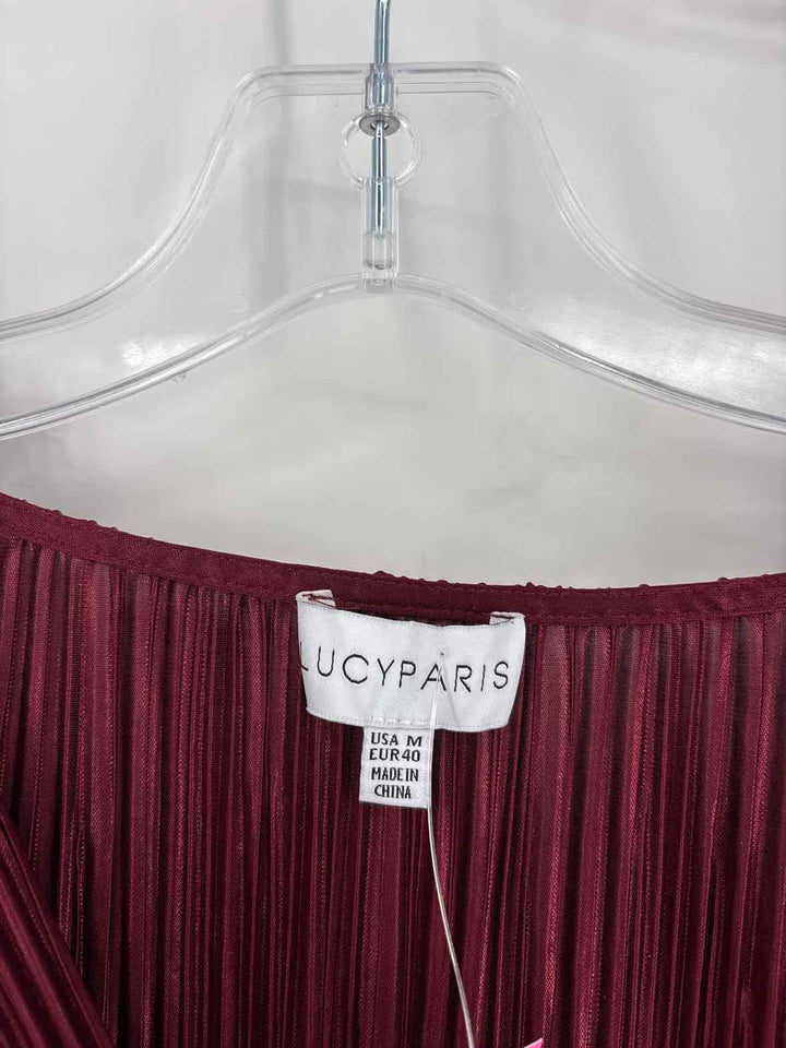 Size M Wine Dress
