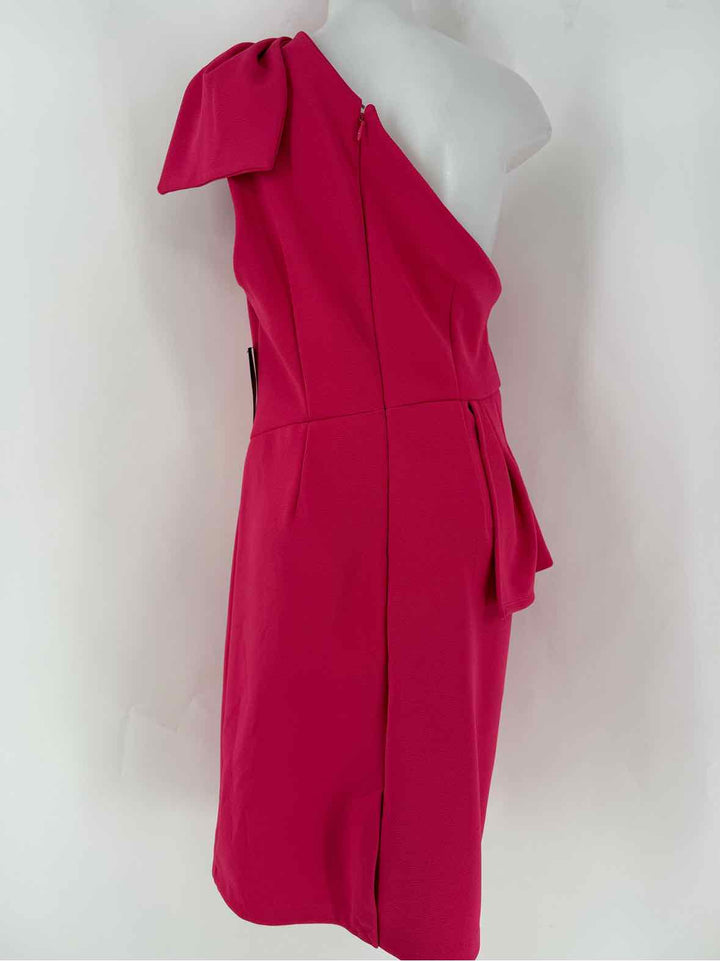 Size XL NY & CO Fuschia Dress