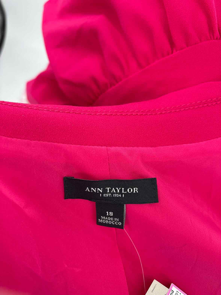 Size 18 Ann Taylor Pink Blazer