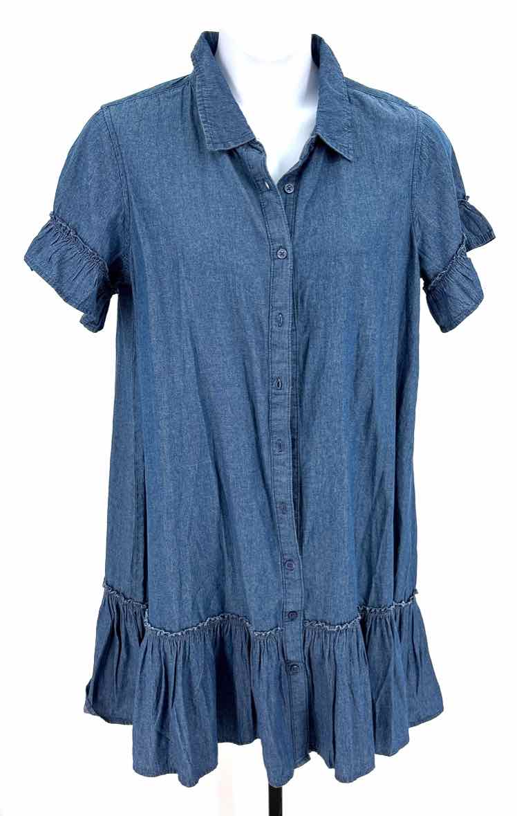 Size L Blue Denim Dress