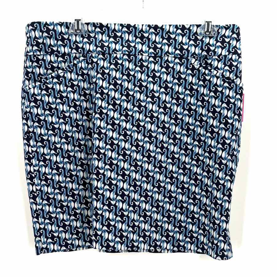 Size 2 Chico's Navy Skirt