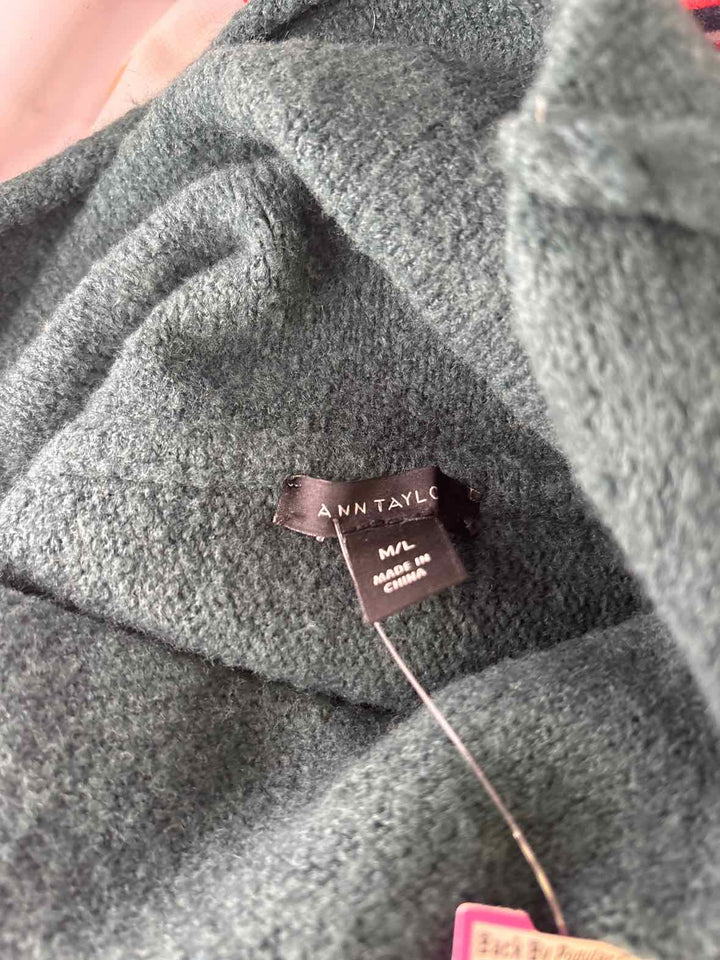 Size M/L Ann Taylor Green Sweater