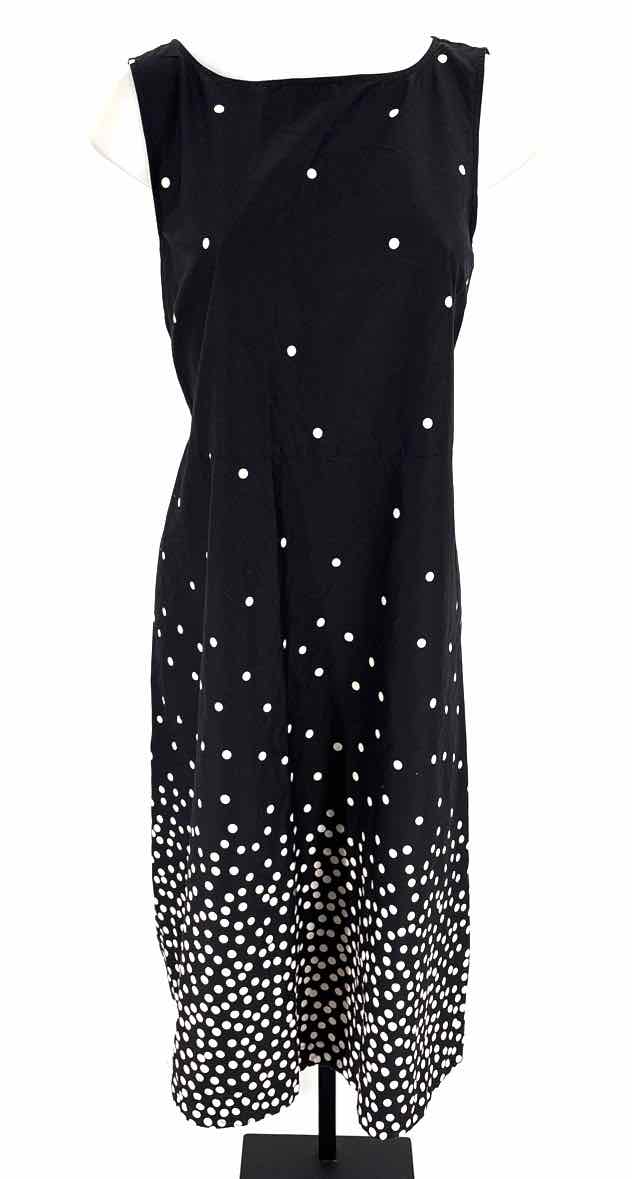 Size M Ann Taylor Black/White Dress