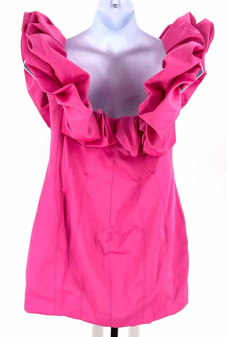 Size 2X FASHION NOVA Pink Dress