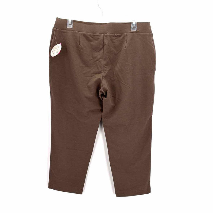 Size Petite J JILL Brown Pants