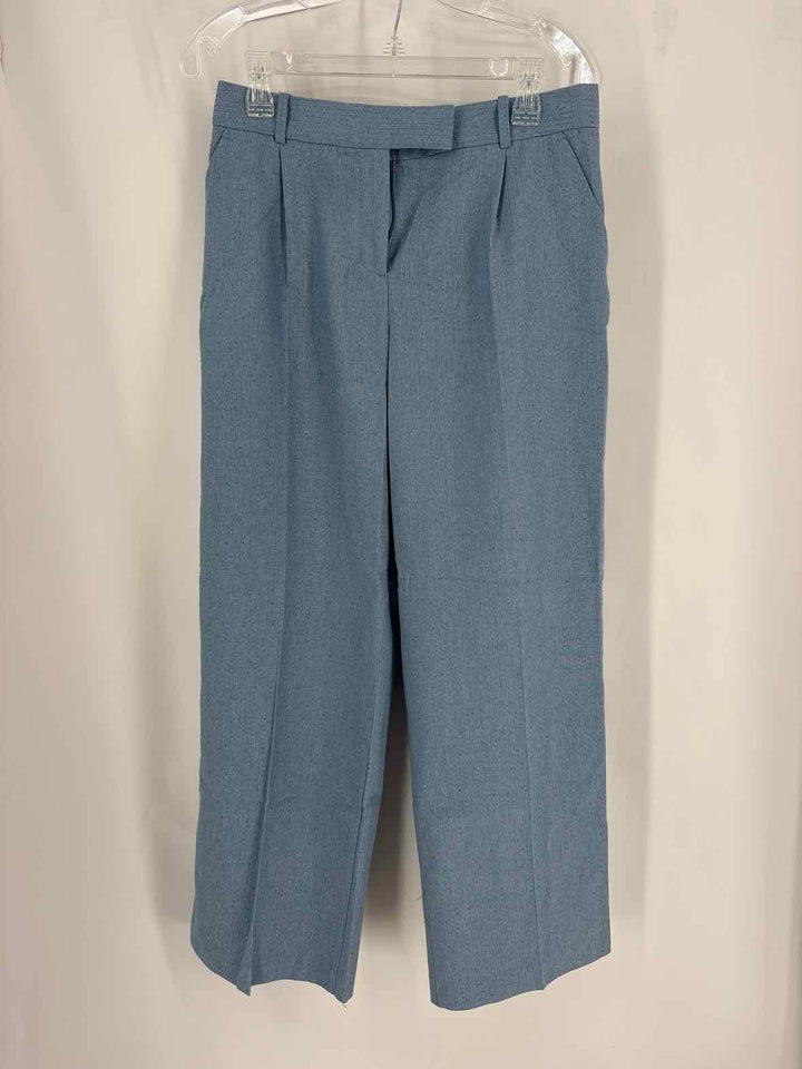 Size M ZARA Blue Pants