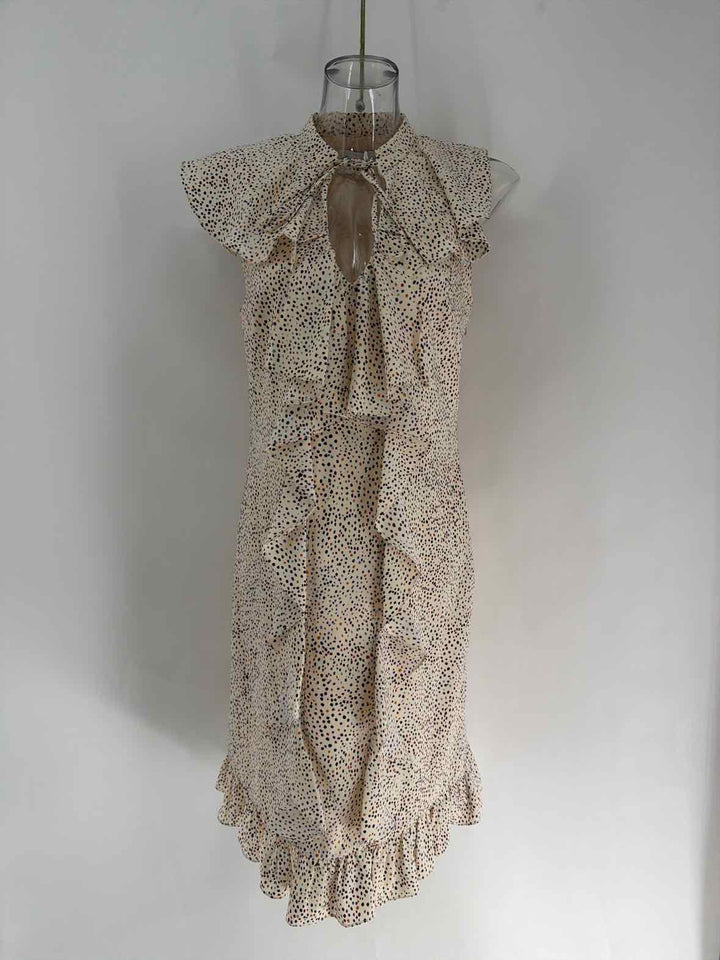 Size 6 Tan Dress