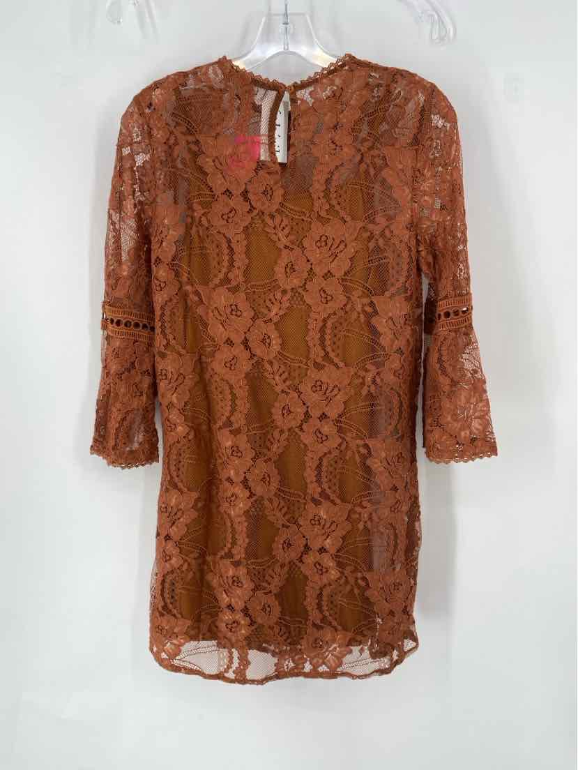 Size S FABRIK Brown Dress
