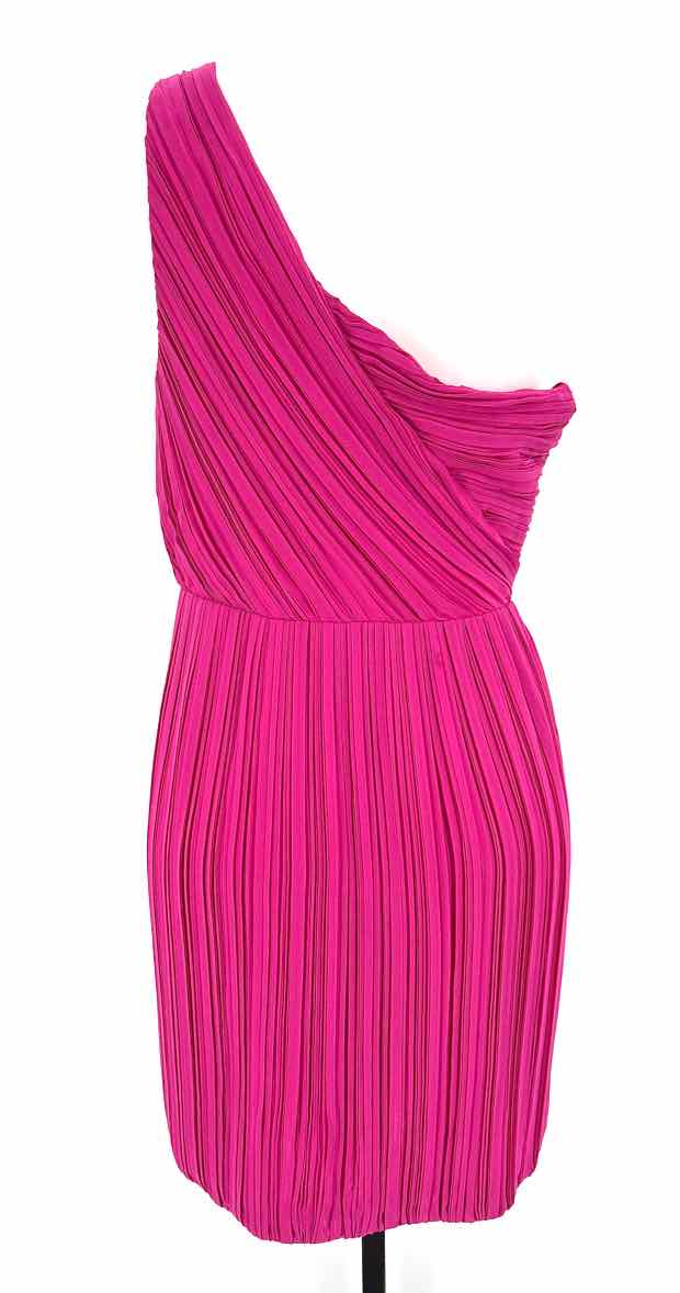 Size 12 THEORY Fuschia Sateen Dress