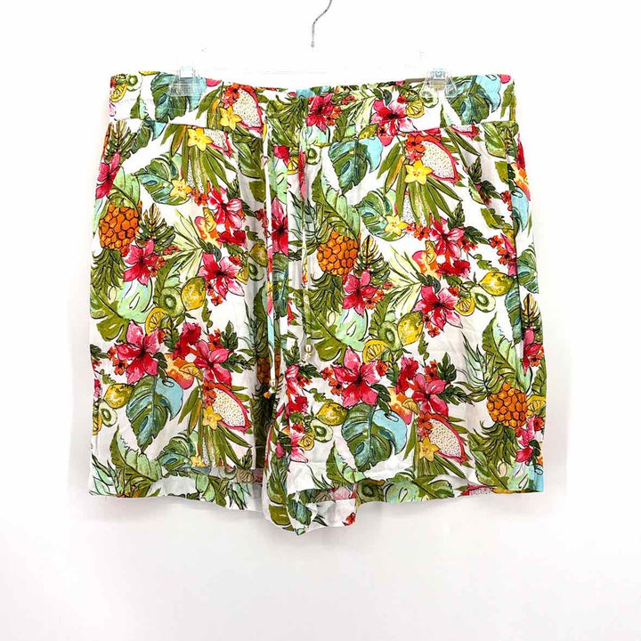 Size 3 Chico's Multi-Color Shorts