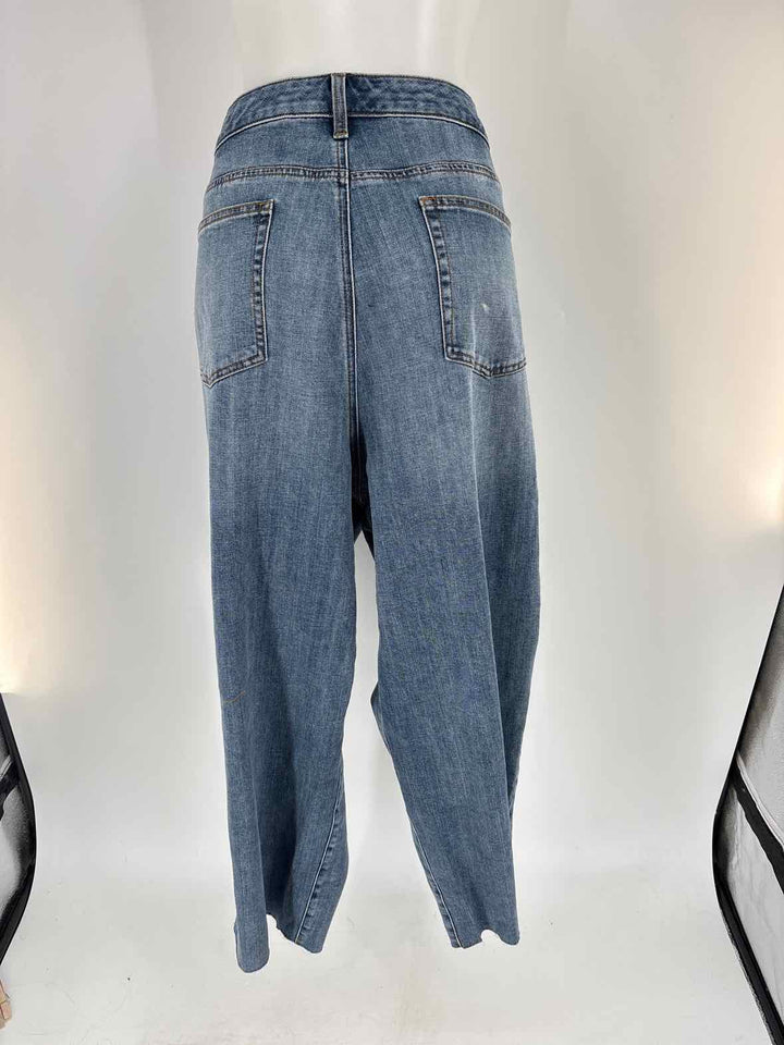 Size 24 Talbots Denim Pants