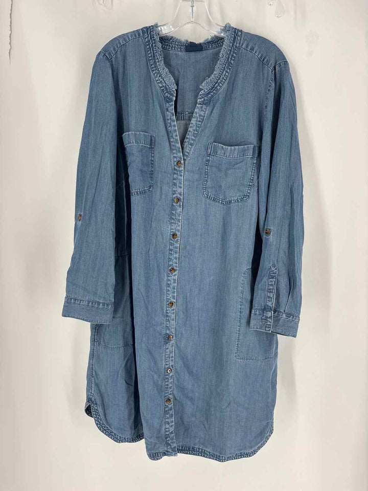 Size XL J JILL Denim Dress