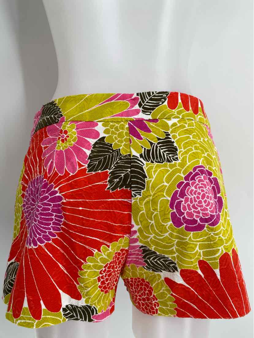 Size 2 TRINA TURK Multi-Color Shorts