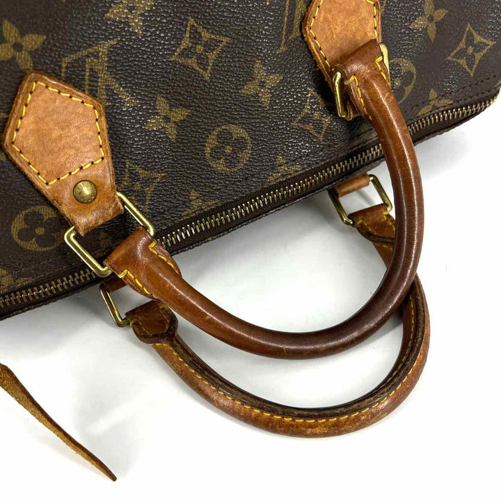 Louis Vuitton Luxury - Purse