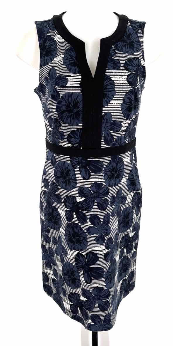 Size 4 Ann Taylor Multi-Color Dress