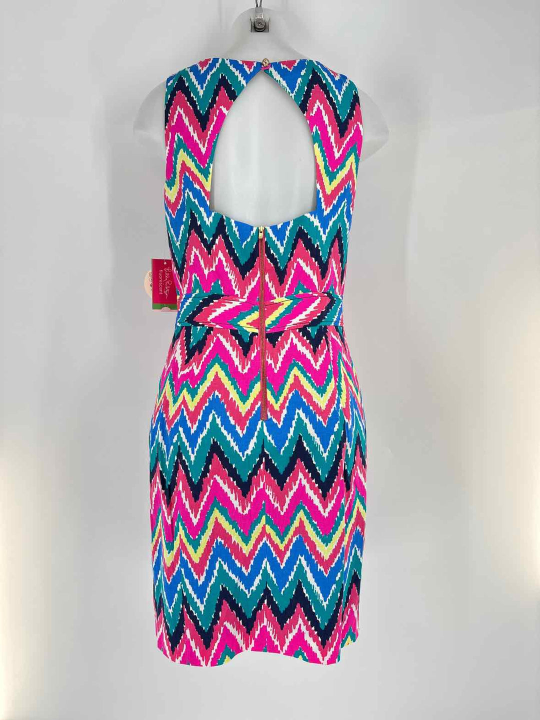 Size 10 Lilly Pulitzer Multi-Color Dress