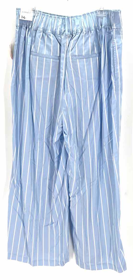 Size 14 LANE BRYANT Light Blue Pants