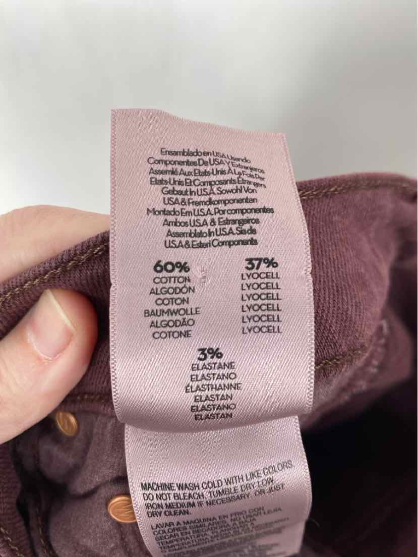 Size 26 MOTHER Burgundy Pants