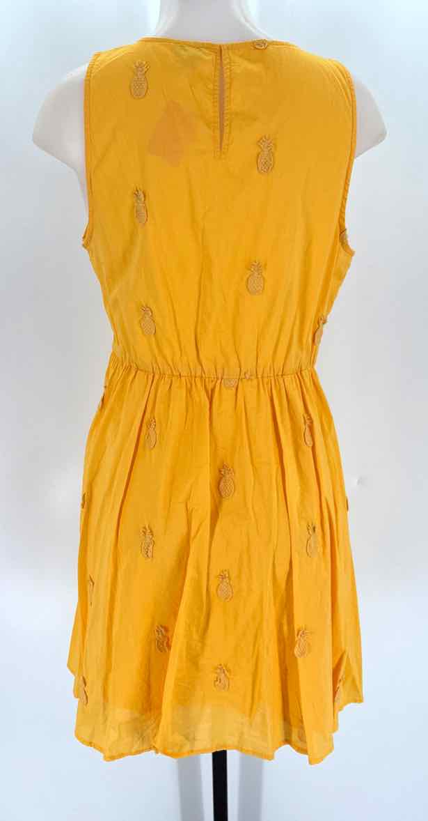 Size 10 J Crew Orange Dress