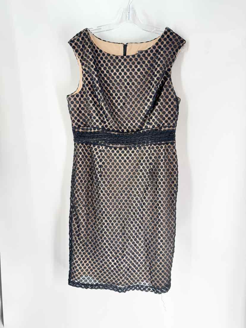 Size 16 Adrianna Papell Black Dress