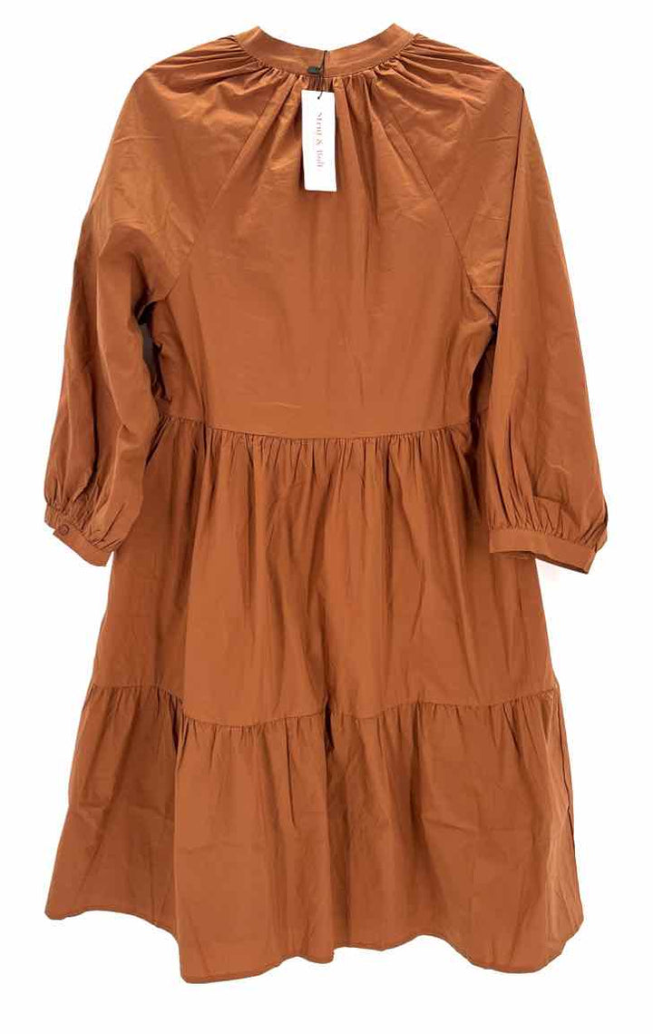 Size L Brown Dress
