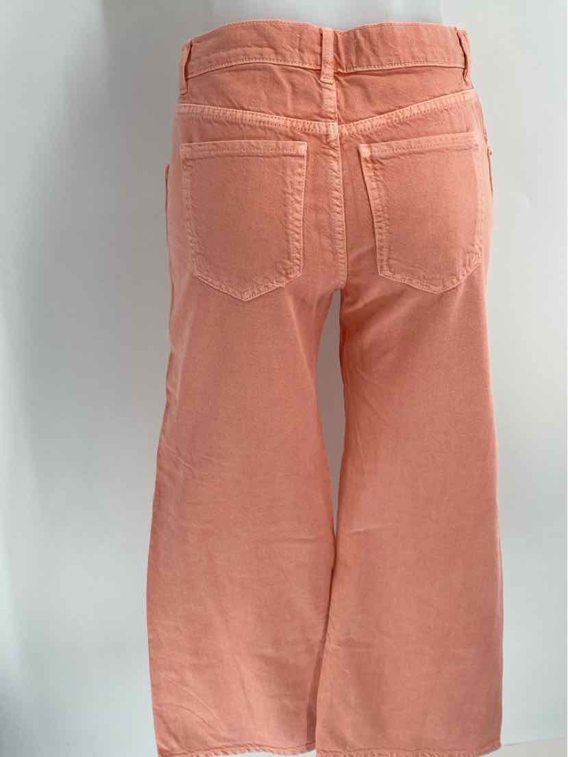 Size S ZARA Peach Pants