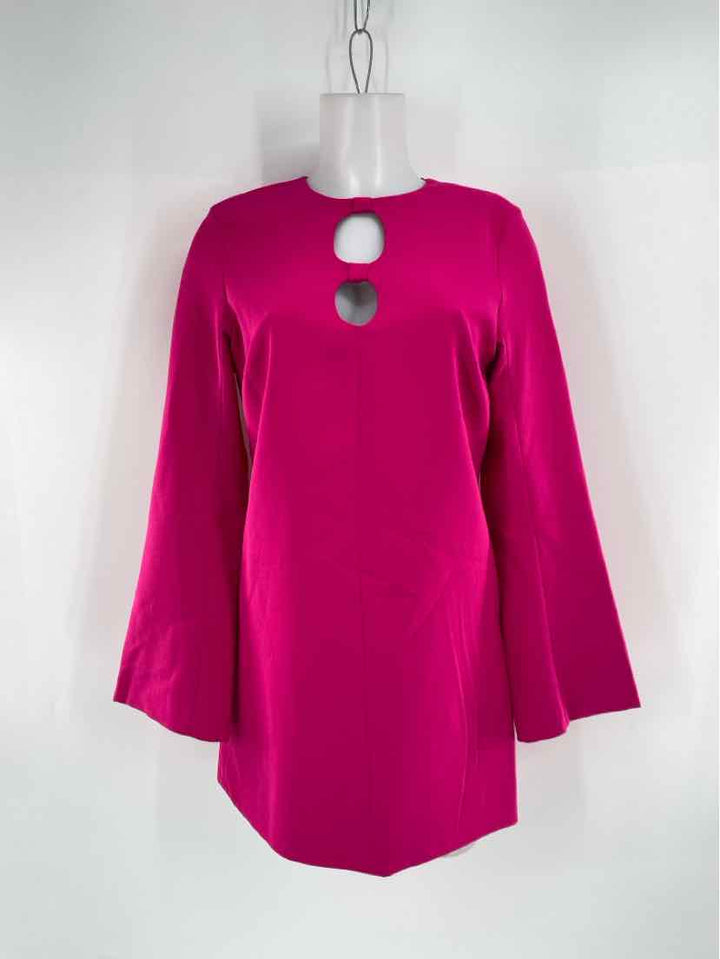 Size S ZARA Fuschia Dress