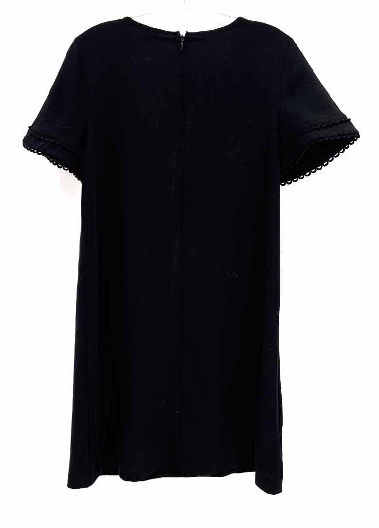 Size 12P Ann Taylor Black Dress