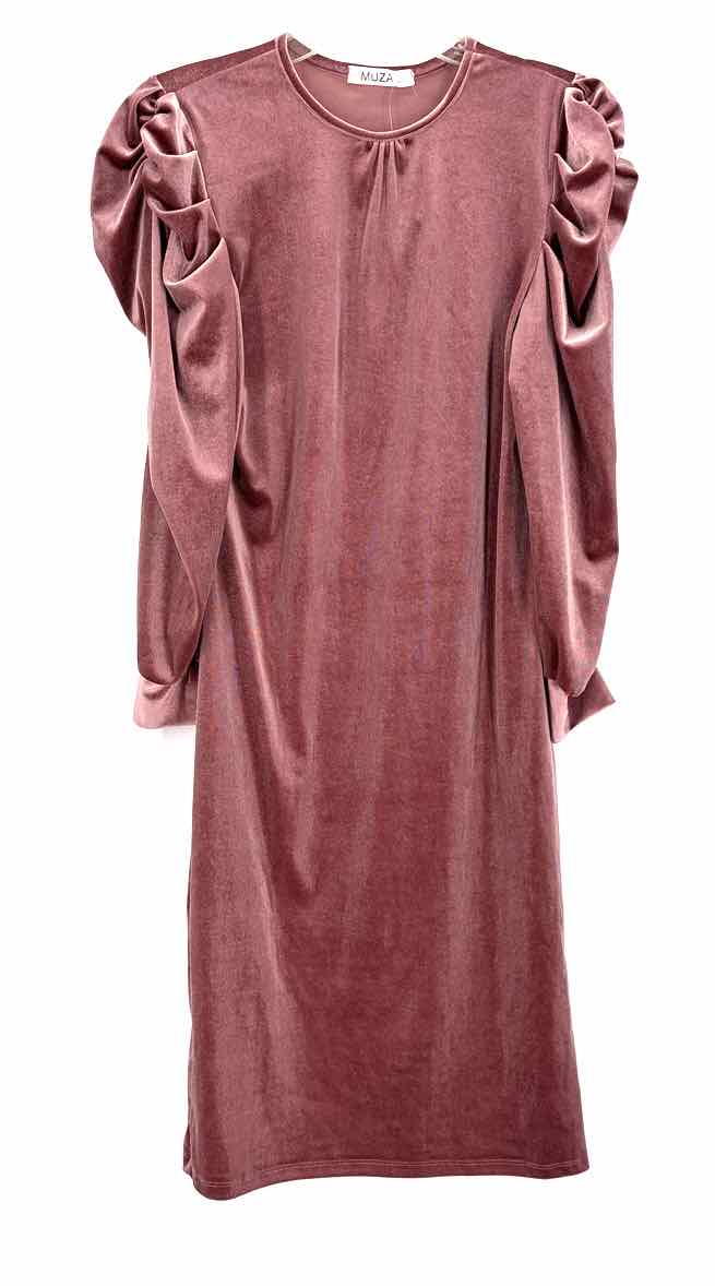 Size 2 Mauve Velour Dress