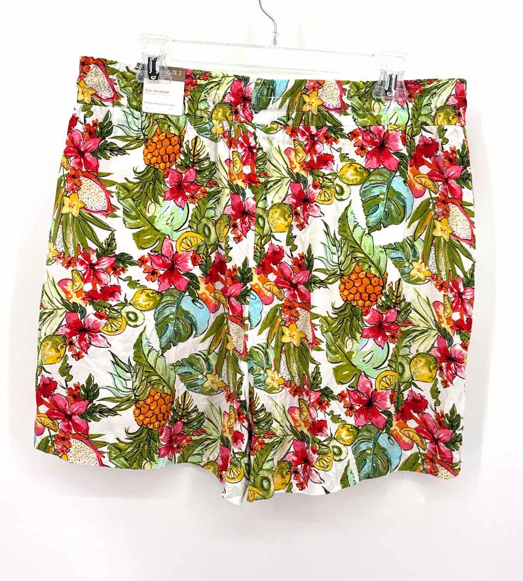 Size 3 Chico's Multi-Color Shorts