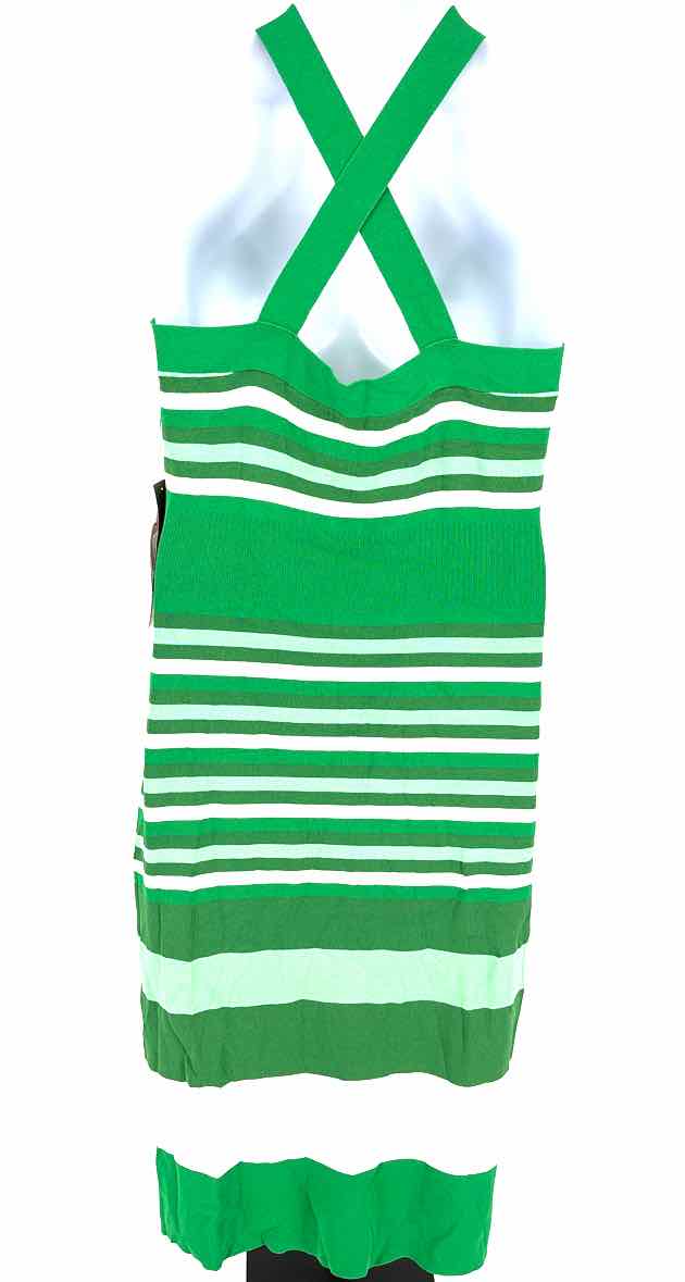 Size XL NY & CO Green Knit Dress