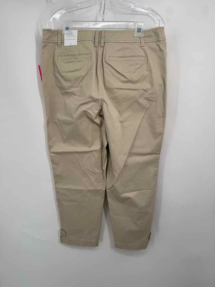 Size 12 Talbots Tan Pants