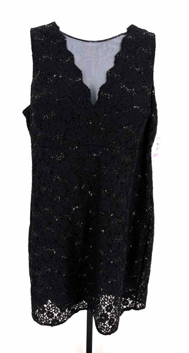 Size 22W R&M RICHARDS Black Lace Dress