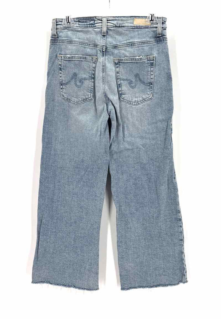 Size 26 AG Denim Pants