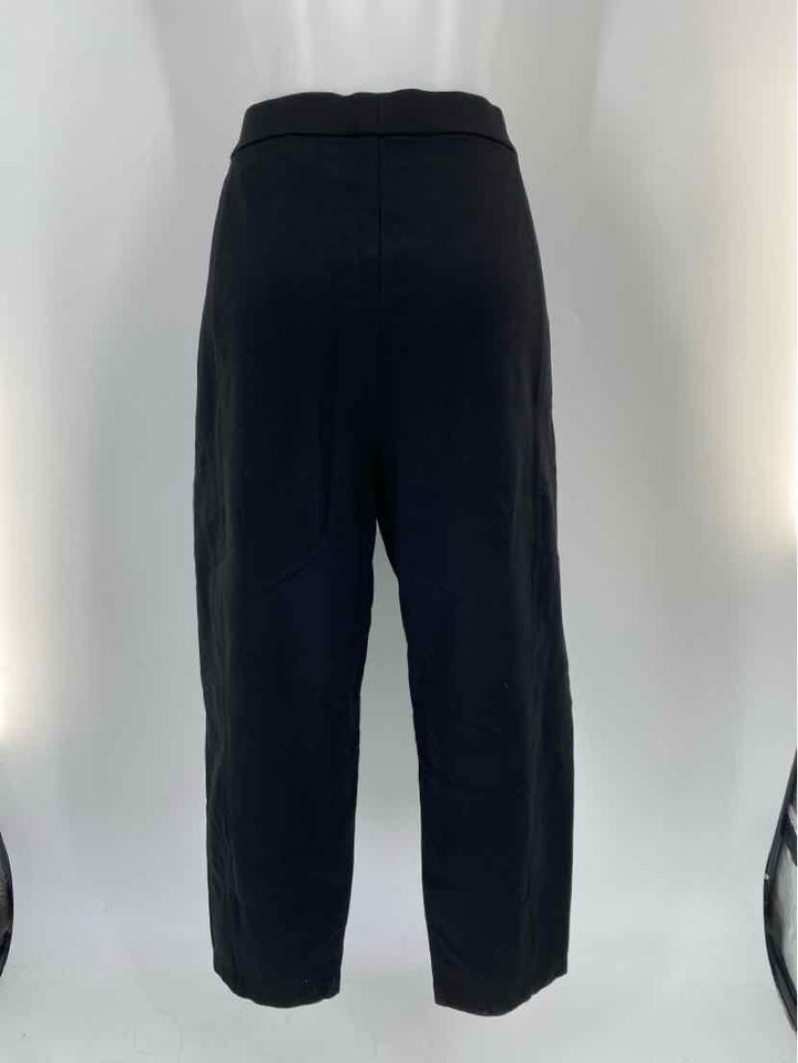 Size XL Eileen Fisher Black Pants