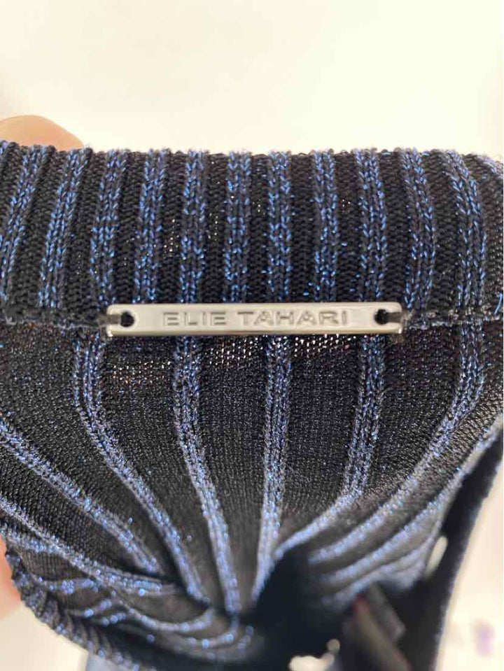 Size L TAHARI Blue Sweater