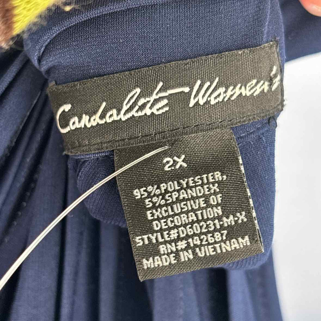 Size 2X Navy Dress