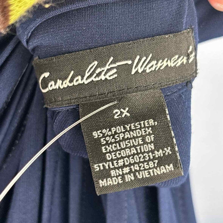 Size 2X Navy Dress