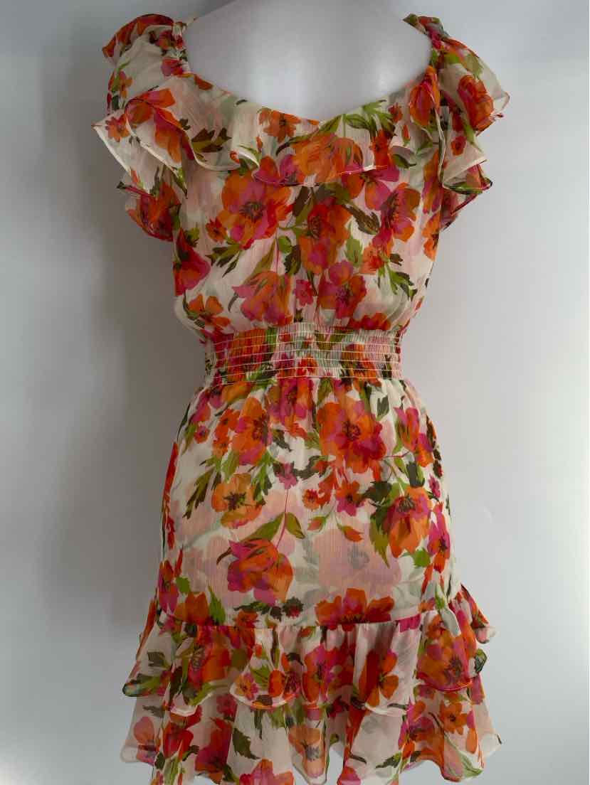 Size XS MISA Multi-Color Dress