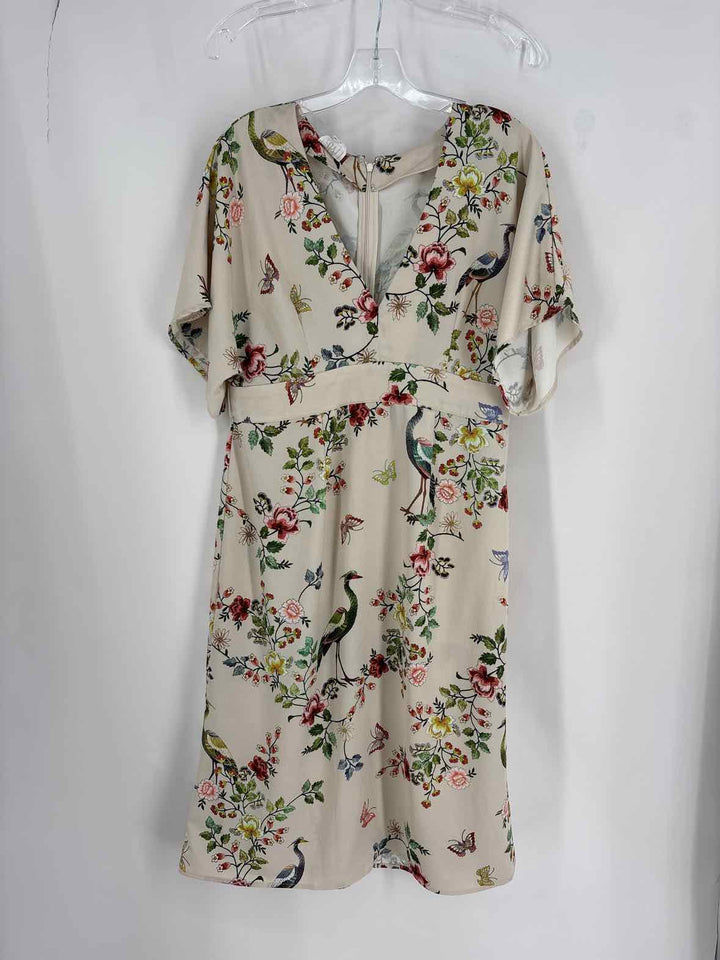 Size 12 Multi-Color Dress