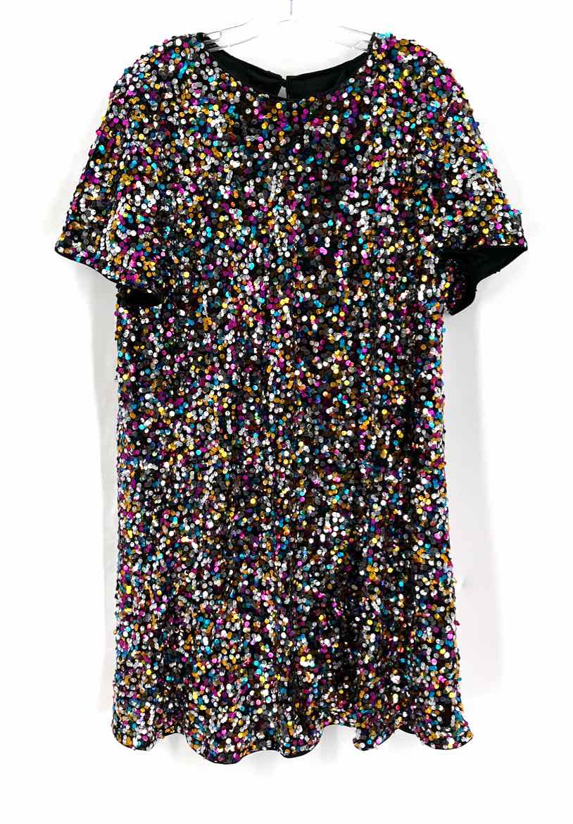 Size 2X Multi-Color Dress