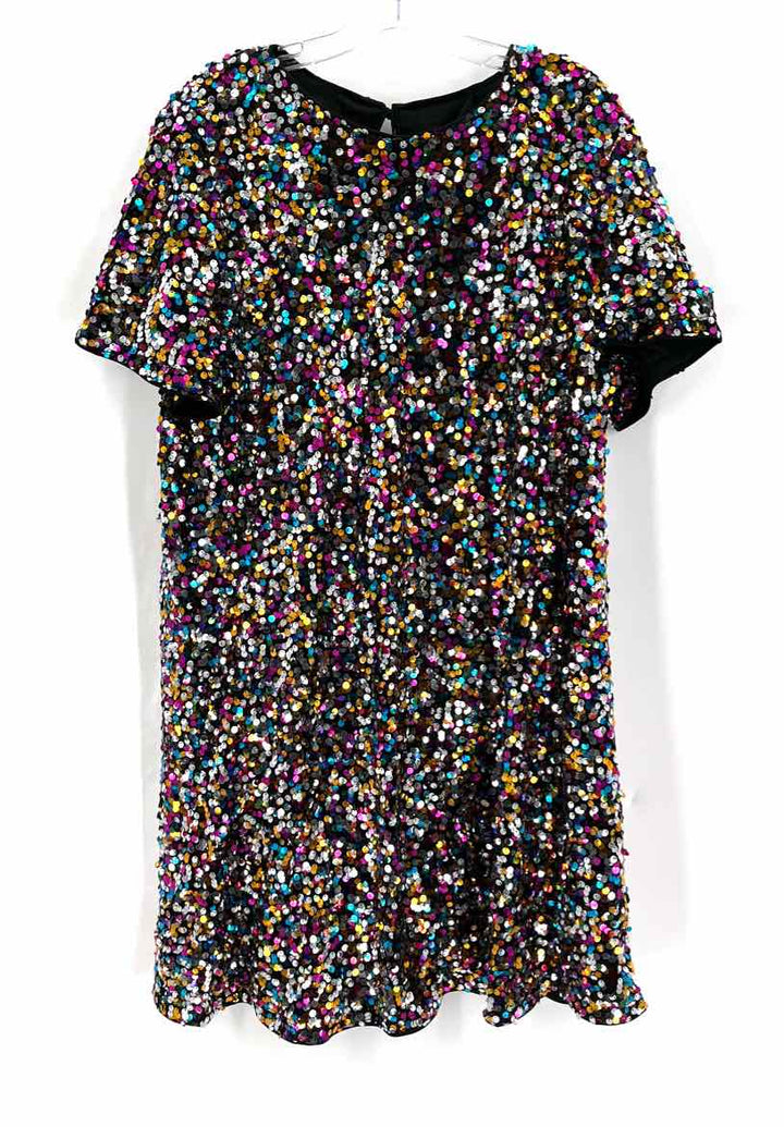Size 2X Multi-Color Dress
