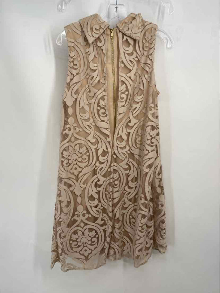 Size 12 Taupe Dress