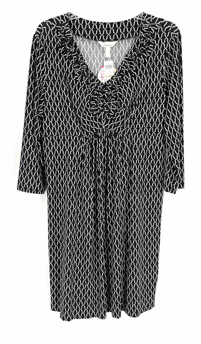Size L SOMA Black Dress