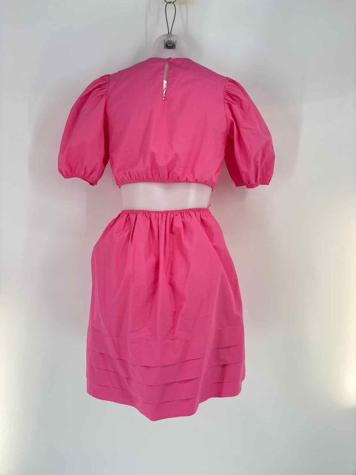 Size XS ENGLISH FACTORY Pink Dress